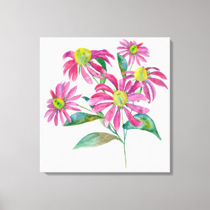 Echinacea Canvas Print