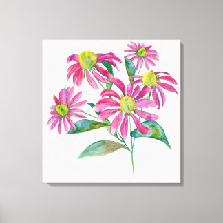 Echinacea Canvas Print