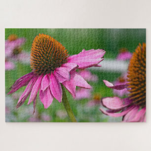 Echinacea Flower Jigsaw Puzzle