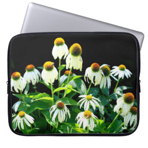 Echinacea Flowers in bloom case