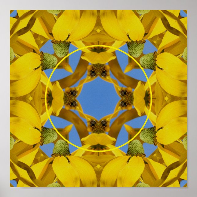 Echinacea Flowers Nature Art Create Your Own Photo Poster (Front)