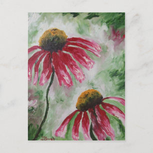 Echinacea Postcard