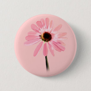 Echinacea purpurea 2 inch round button