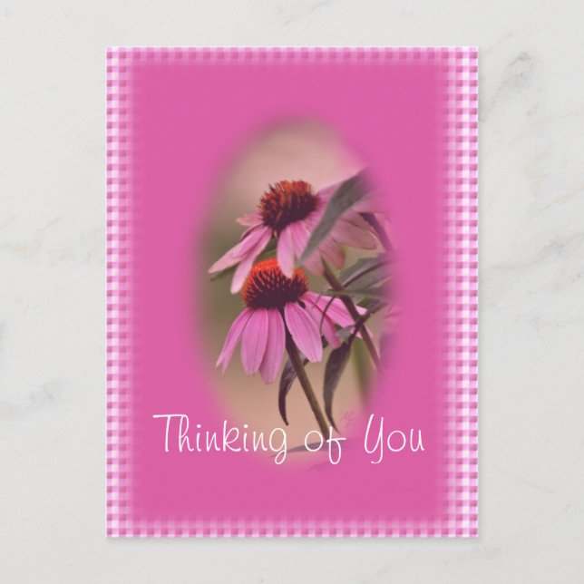 Echinacea & Seersucker Postcard- personalize Postcard (Front)