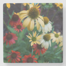 Echinacea Stone Coaster