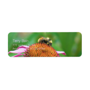 Echinacée d'abeille