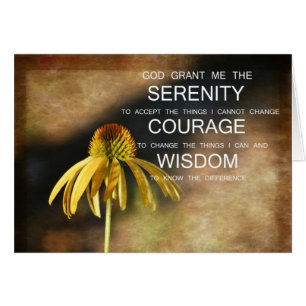 Echinacée de sérénité florale