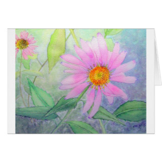Echinacée en fleur