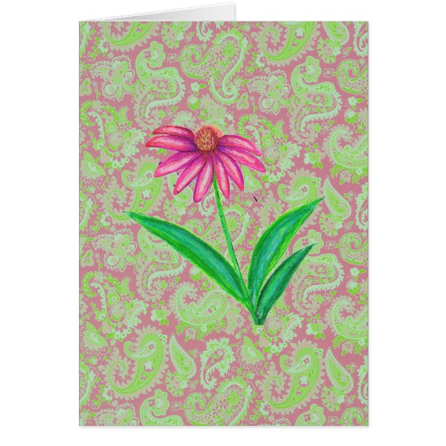 ECHINACÉE ROSE PAISLEY (Devant)