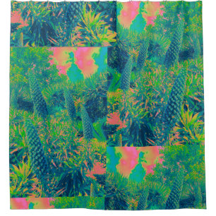 Echium Flowers Tropical Vibe