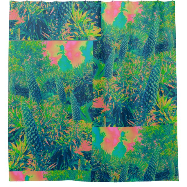 Echium Flowers Tropical Vibe (Front)
