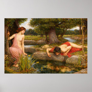Echo and Narcissus by John William Waterhouse Poster