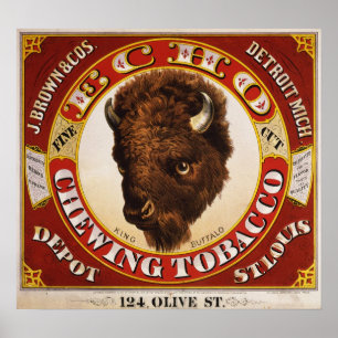Echo fine cut chewing tobacco poster