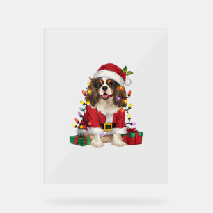 Éclairage de Noël Cavalier roi Charles Spaniel Chi