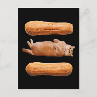 Eclairs Postcard