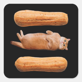 Eclairs Square Sticker