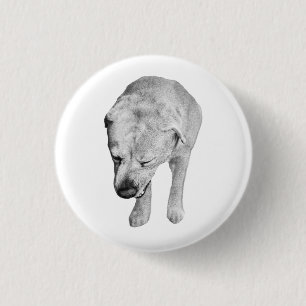 Éclat de fête, Badge de laboratoire ombragé