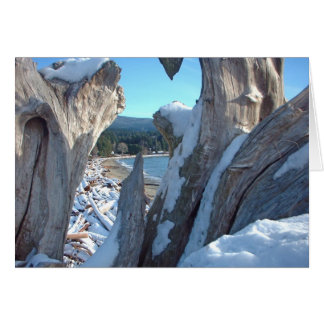 Éclats de neige en bois