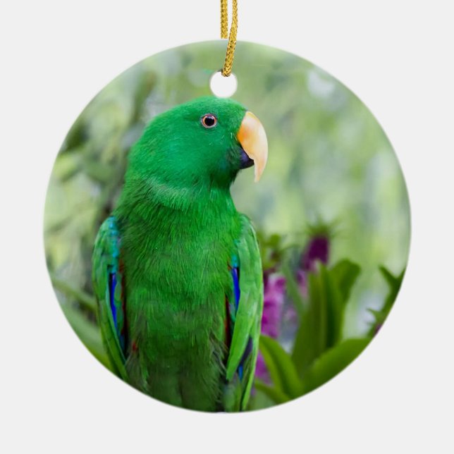 Eclectus Parrot Male Ceramic Ornament (Front)