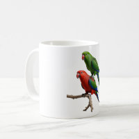 Eclectus Parrots