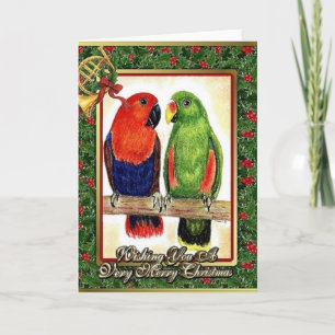 Eclectus Parrots la carte de Noël