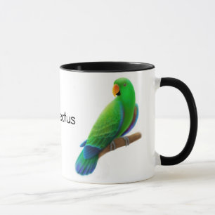 Eclectus Parrots la tasse