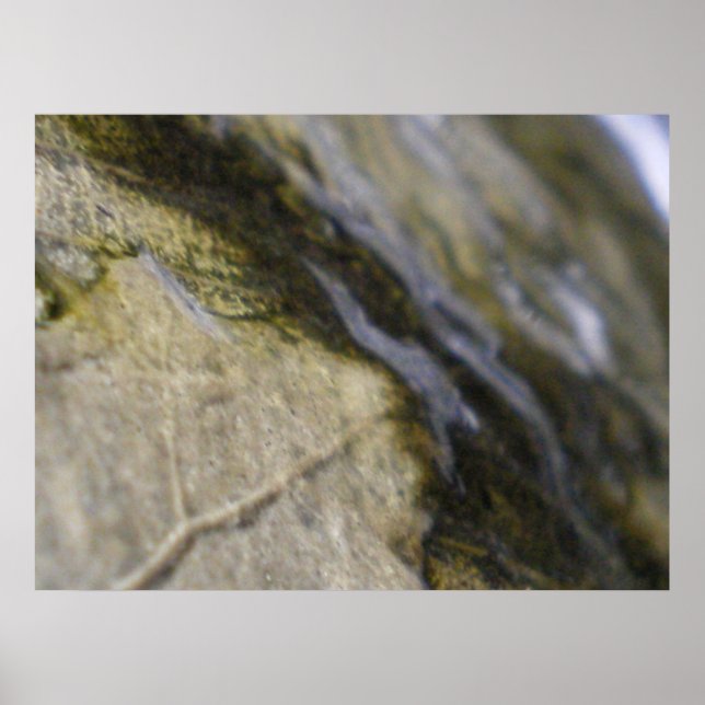 Eclipse Poster (Front)