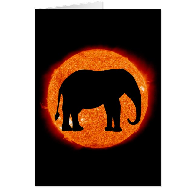 Éclipse solaire éléphant (Devant)