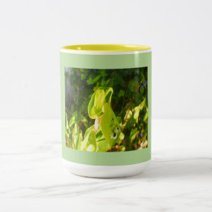 Eco Green Blooms Two-Tone Coffee Mug