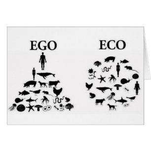 Eco vs Ego