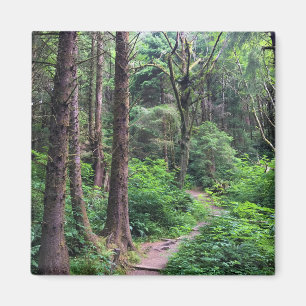 Ecola State Park, Cannon Beach, Oregon Magnet