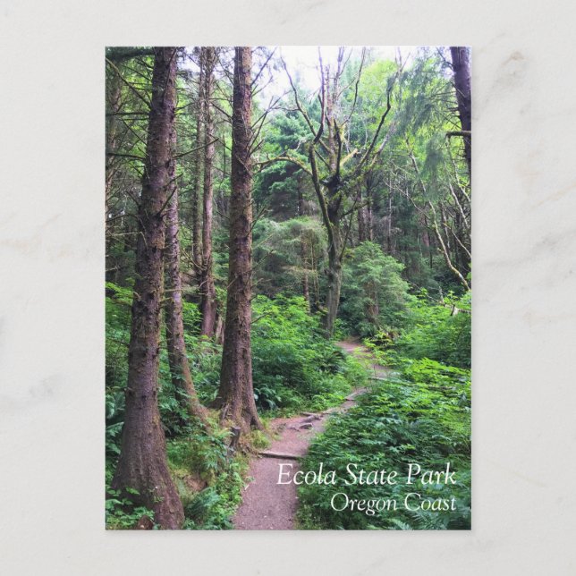 Ecola State Park, Cannon Beach, Oregon Postcard (Front)