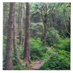 Ecola State Park, Cannon Beach, Oregon Tile
