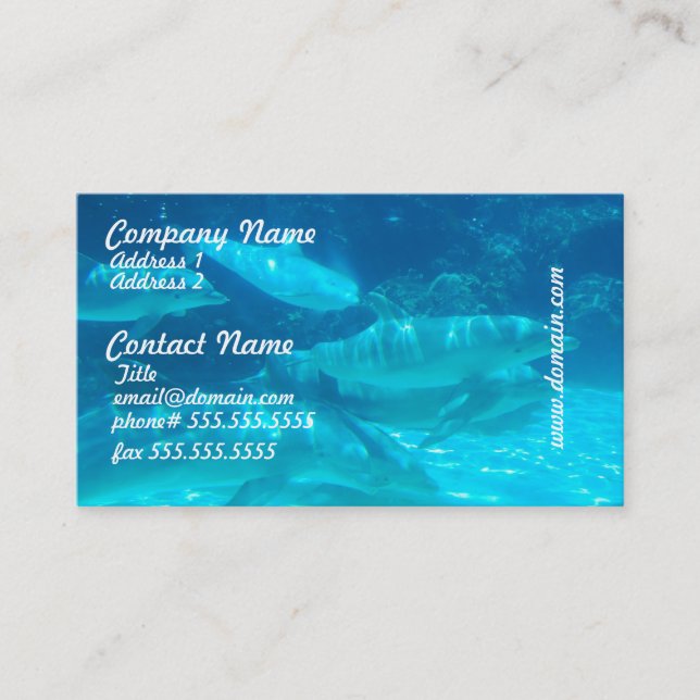 École des cartes de visite de dauphins (Devant)