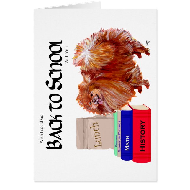 École poméranienne (Devant)