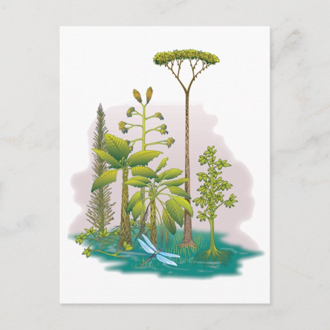 Ecology : plant a tree - postcard (Front)