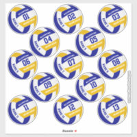economical set of 13 volleyball team colours
