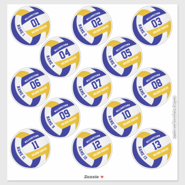 economical set of 13 volleyball team colours (Sheet)
