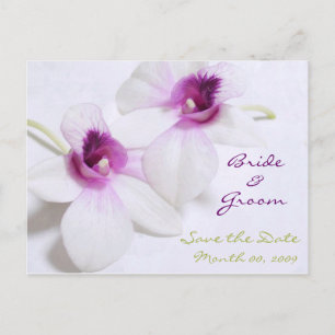 Économies blanches d'orchidée les cartes postales