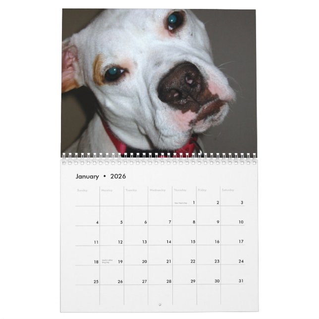 Économies de Pitbull le calendrier de race (Jan 2026)