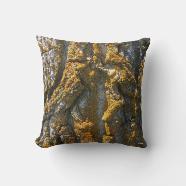 ÉCORCE AVEC DE LA MOUSSE - COUSSIN (Recto)