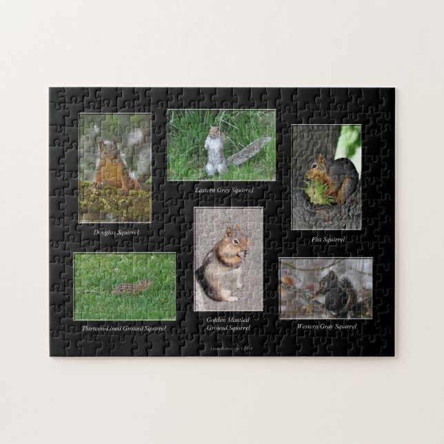 Écorces ! Puzzle (Horizontal)