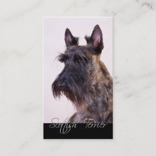 écossais Terrier Carte de visite