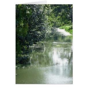 Écoulement serein de rivière