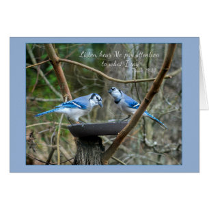 Écoute, écoute-moi Blue Jays Parakaleo