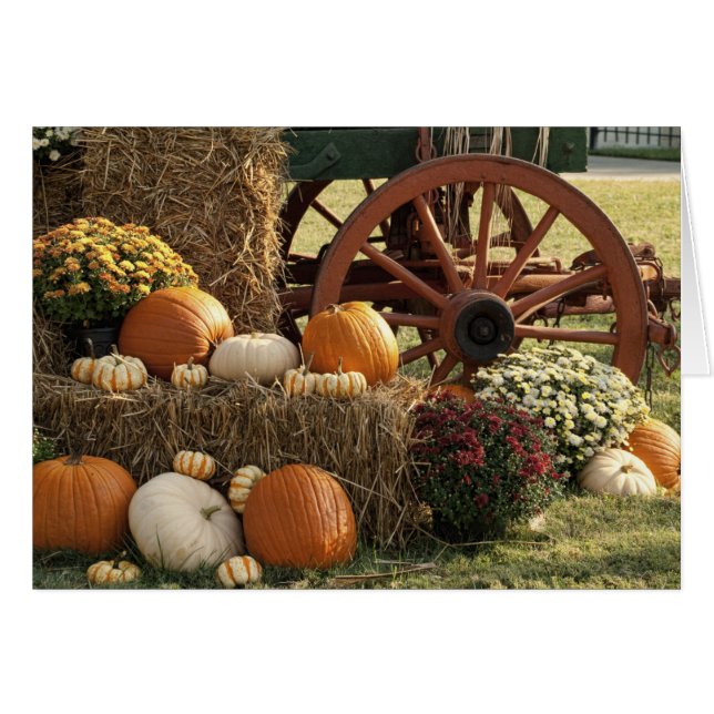 Écran Citrouille Automne Et Mère (Devant horizontal)