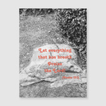 Écriture de la carte de voeux magnétique louée