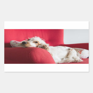ecs orange and white chillin sticker