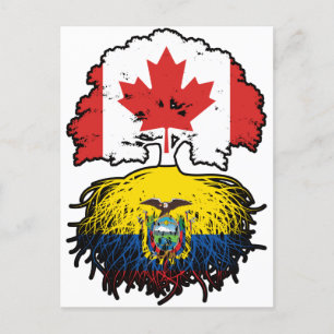 Ecuador Ecuadorian Canadian Canada Tree Roots Flag Postcard