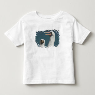 Ecuador, Galapagos. Genovesa Island aka Tower, Toddler T-shirt